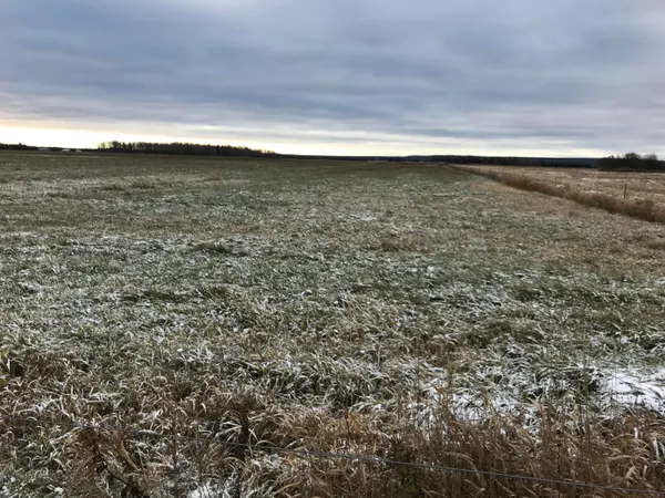 $320,000 | 0 West M-48, Rudyard, MI 49780