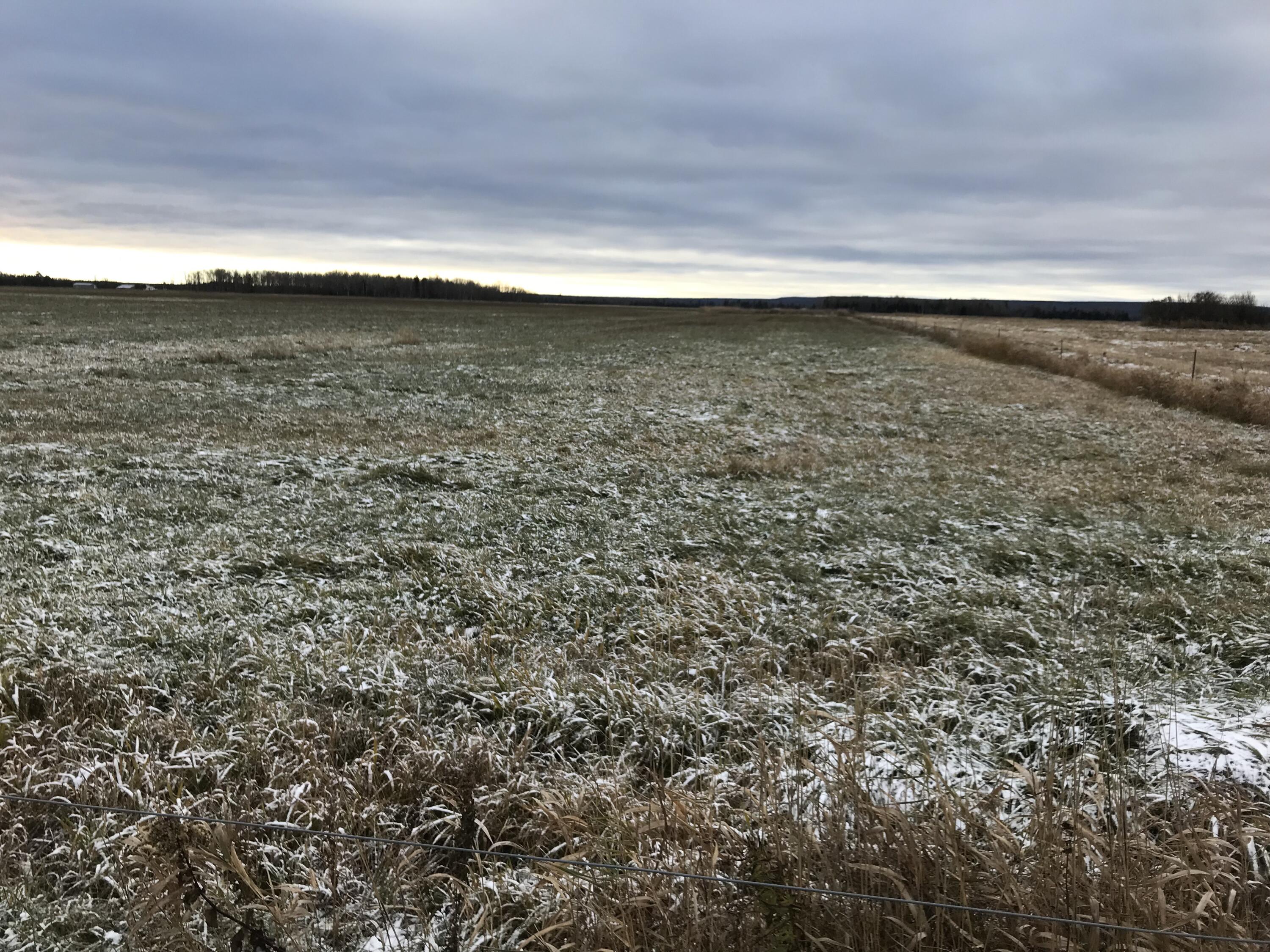 0 West M-48 Rudyard, MI 49780 - Photo 5 of 5 5