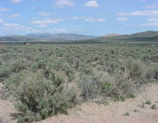 1395 Argonaught Way Reno, NV 89506 - Photo 1 of 1