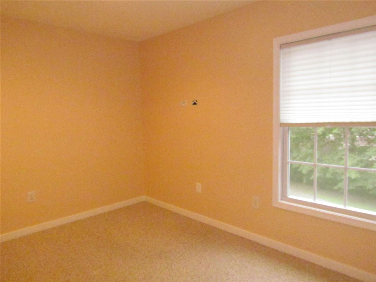 117 Port Republic Road Harrisonburg, VA 22801 - Photo 26 of 29 Gallery Image 26