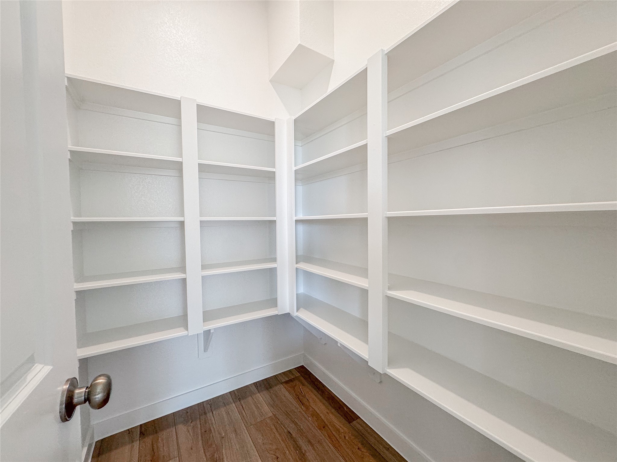 30939 Spring Lily Way Fulshear, TX 77423 - Photo 8 of 19 oversized walk-in pantry