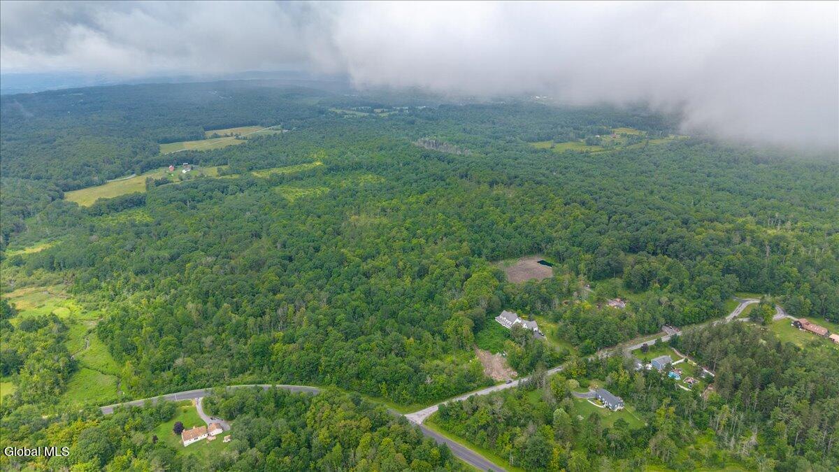 181 Liddle Road, Unit LOT 2 Duanesburg, NY 12306 - Photo 2 of 8 1-181 Liddle Rd-1