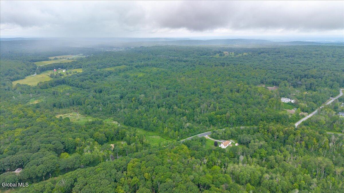 181 Liddle Road, Unit LOT 2 Duanesburg, NY 12306 - Photo 7 of 8 6-181 Liddle Rd-6