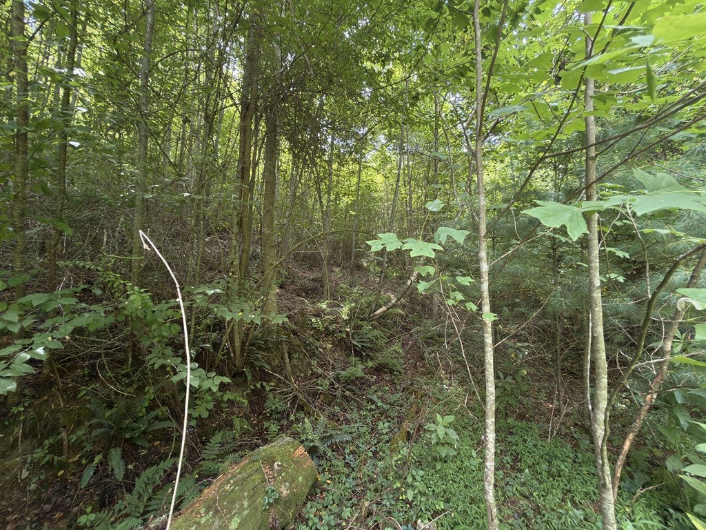 Tbd Tbd Little Vine Road Hillsville, VA 24343 - Photo 34 of 43 Gallery Image 34