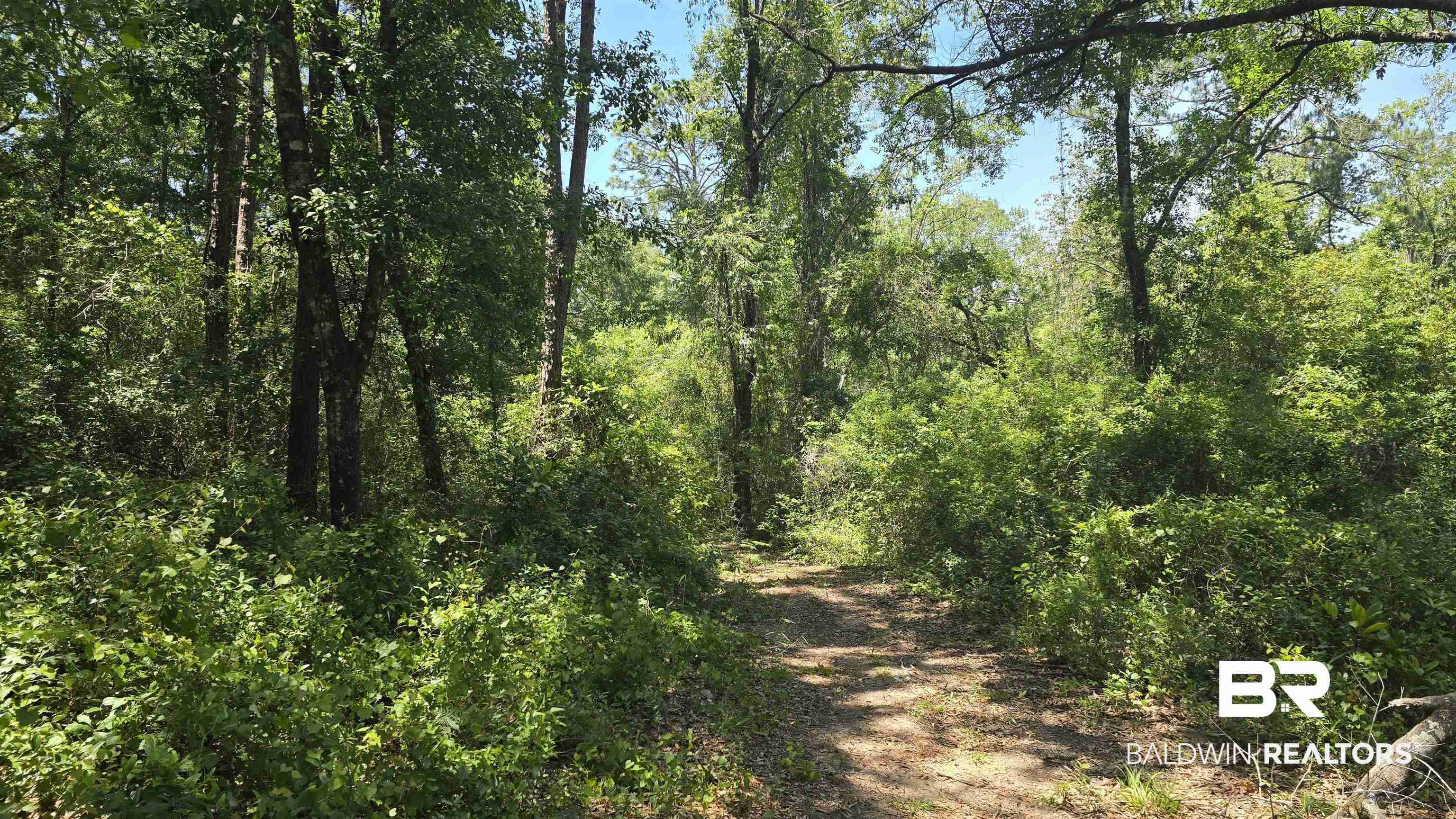 0 Toler Road Silverhill, AL 36576 - Photo 4 of 9