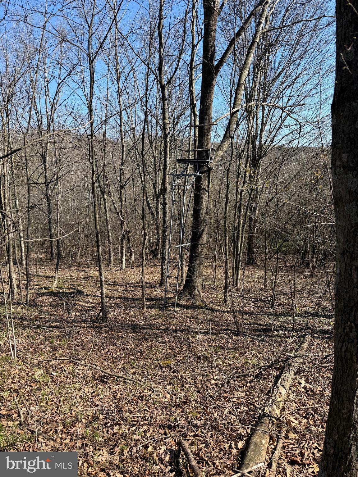 129-acres Black Hollow Road Schellsburg, PA 15559 - Photo 72 of 72 a backyard of a house with lots of green space