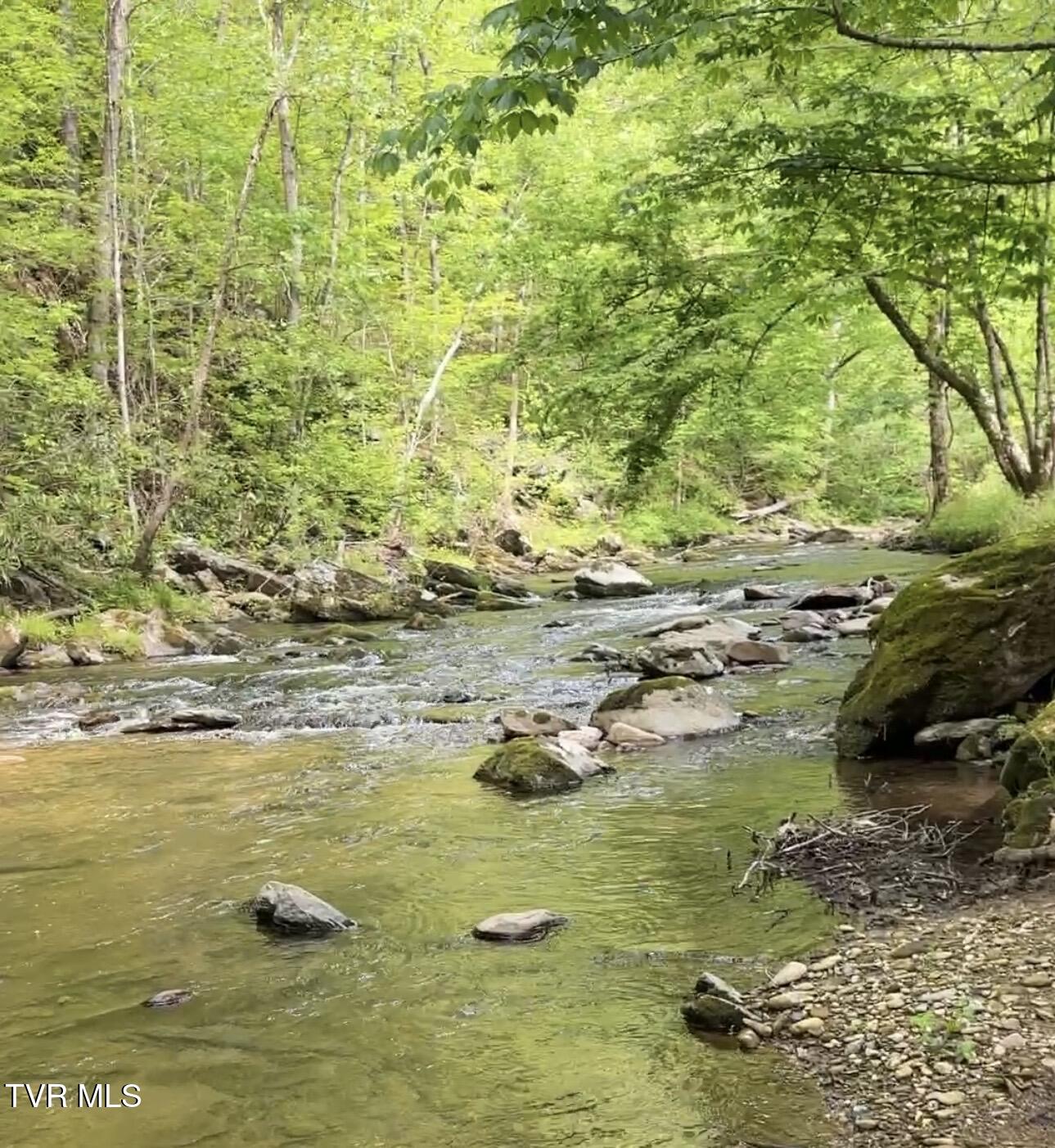 4124 Big Creek Road Hartford, TN 37753 - Photo 20 of 26 IMG_5862