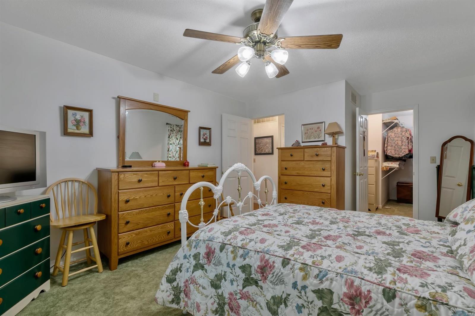 8534 Schien Road Worden, IL 62097 - Photo 14 of 41