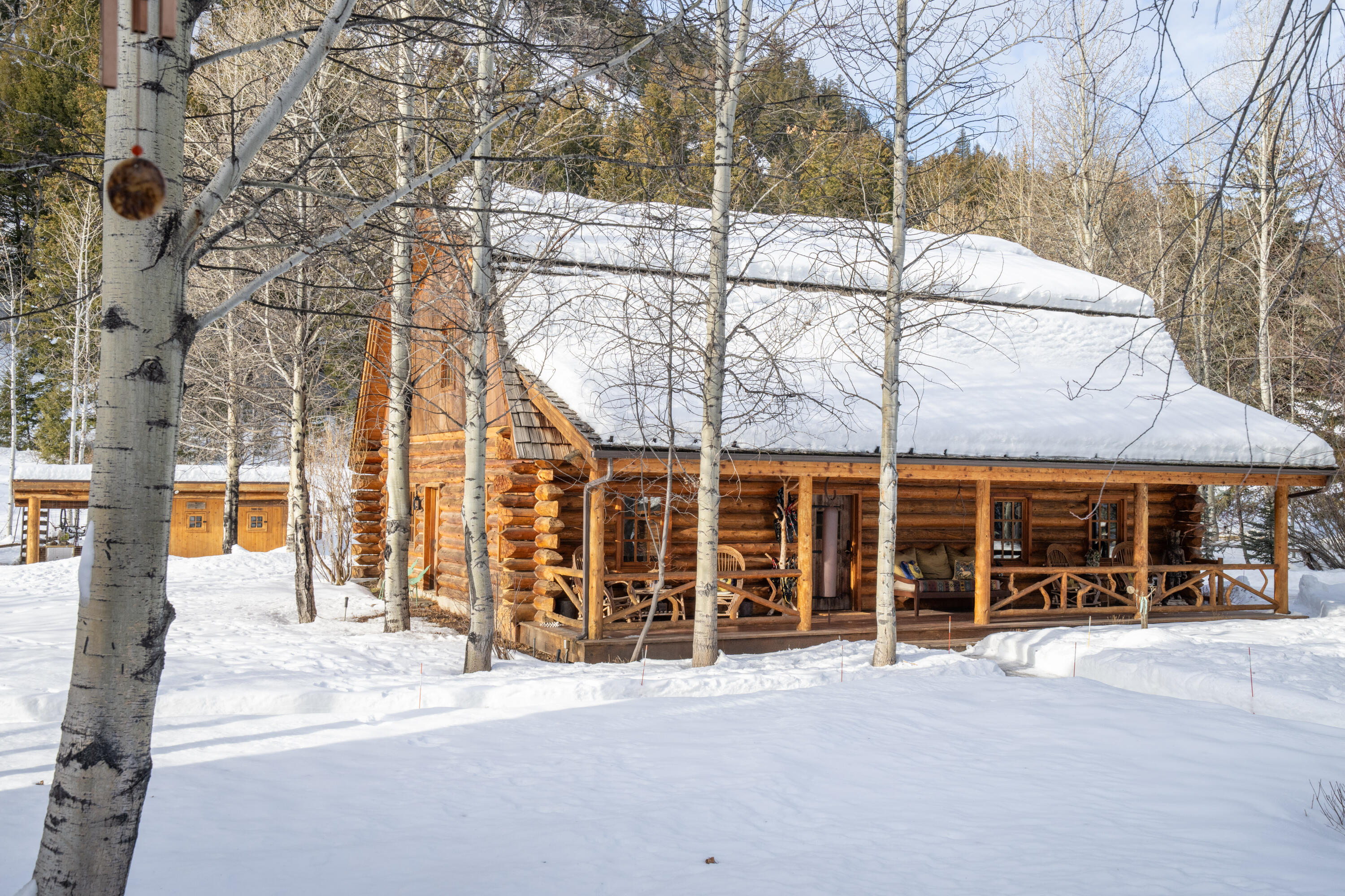 130 Black Bear Road Blaine County, ID 83340 - Photo 4 of 60 Main house