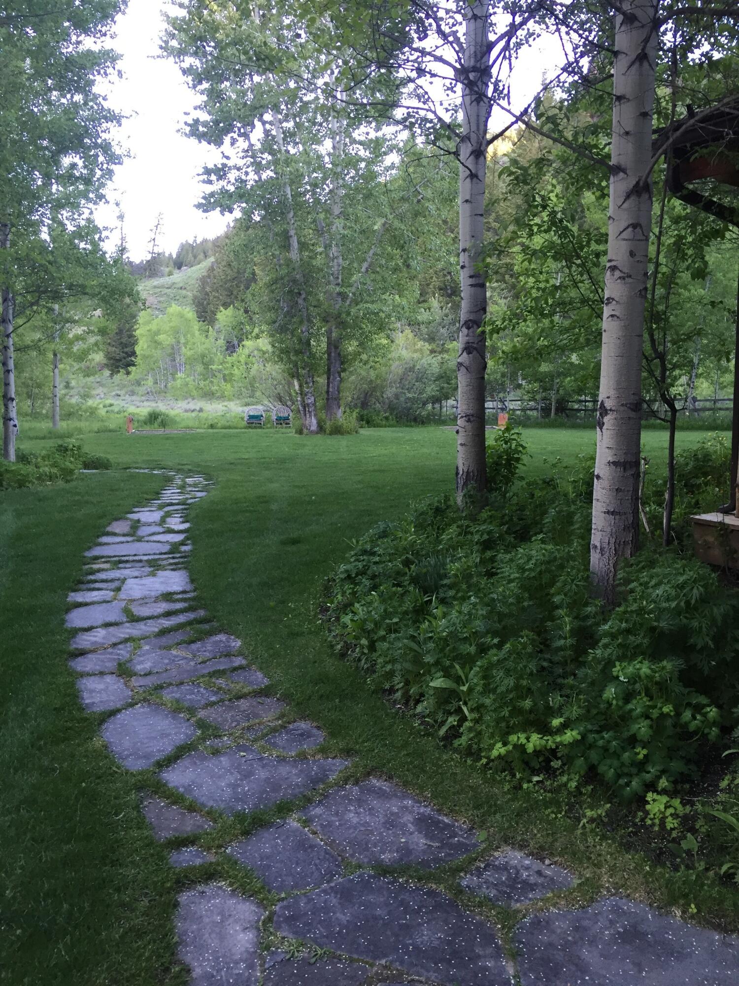 130 Black Bear Road Blaine County, ID 83340 - Photo 46 of 60 Yard in summer