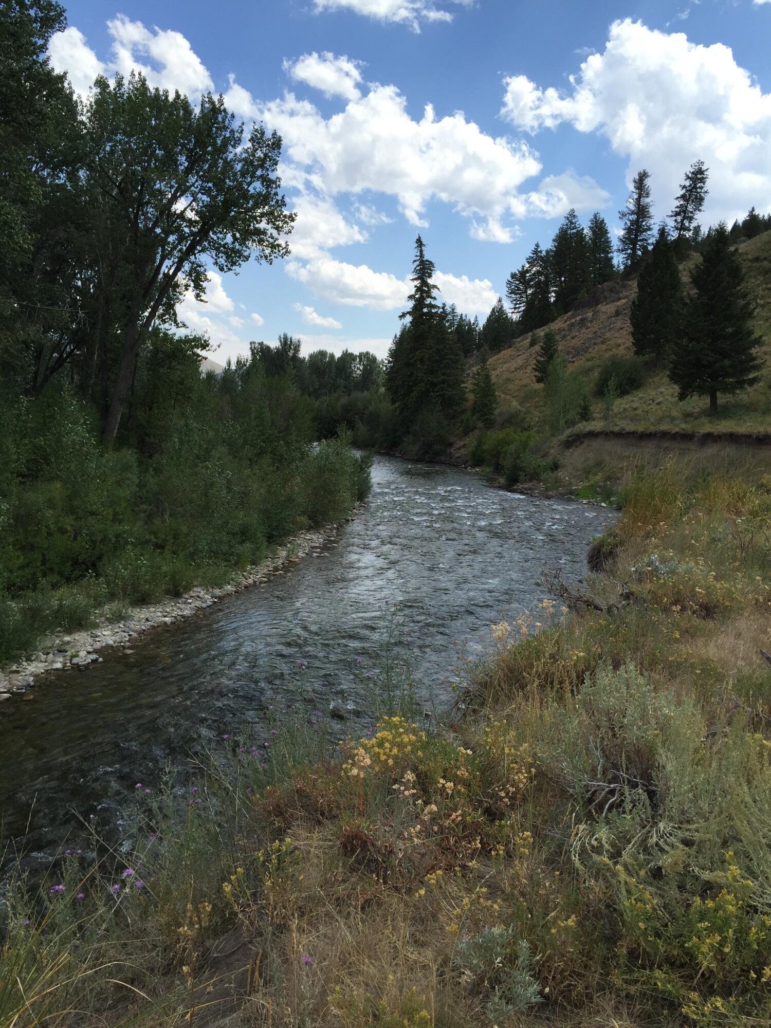 130 Black Bear Road Blaine County, ID 83340 - Photo 50 of 60 View to River