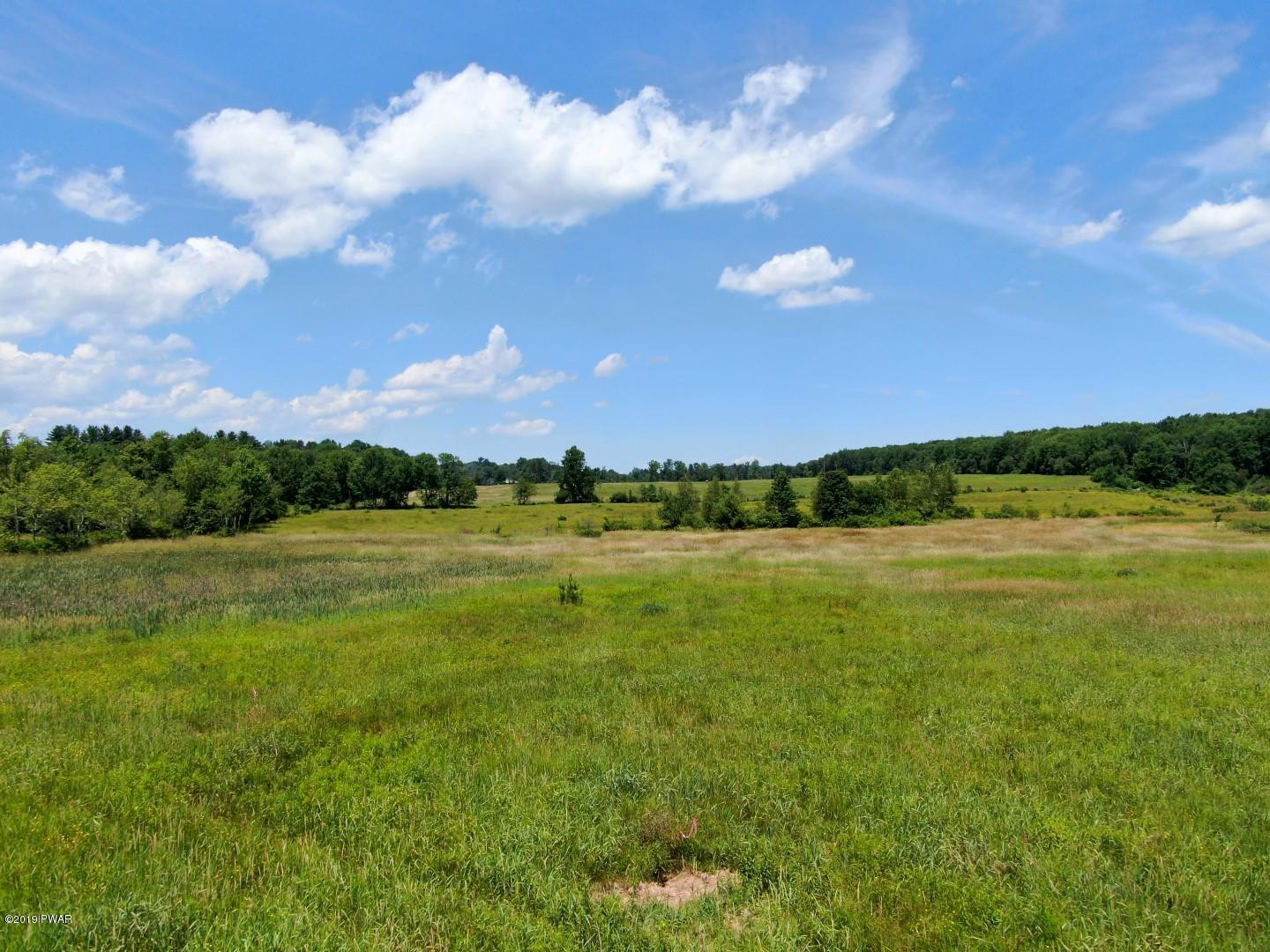 Lot 1 Slater Rd Beach Lake Beach Lake, PA 18405 - Photo 3 of 5