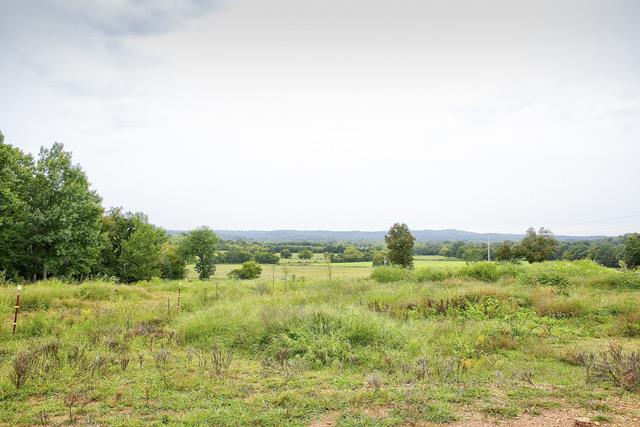 1102 Tassey Road Readyville, TN 37149 - Photo 3 of 25 Gallery Image 3