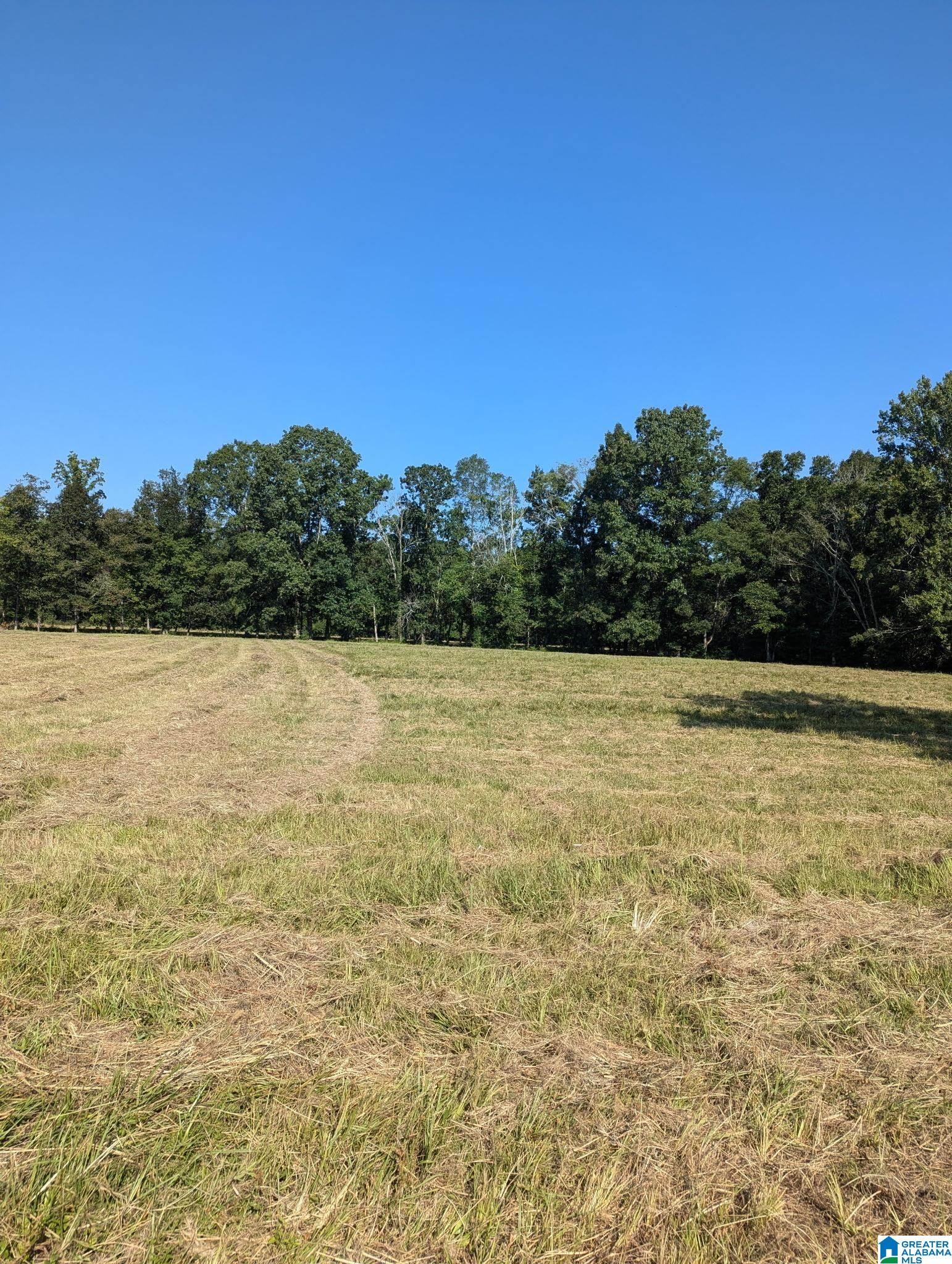 0 Poplar Springs Road Ashville, AL 35953 - Photo 3 of 10