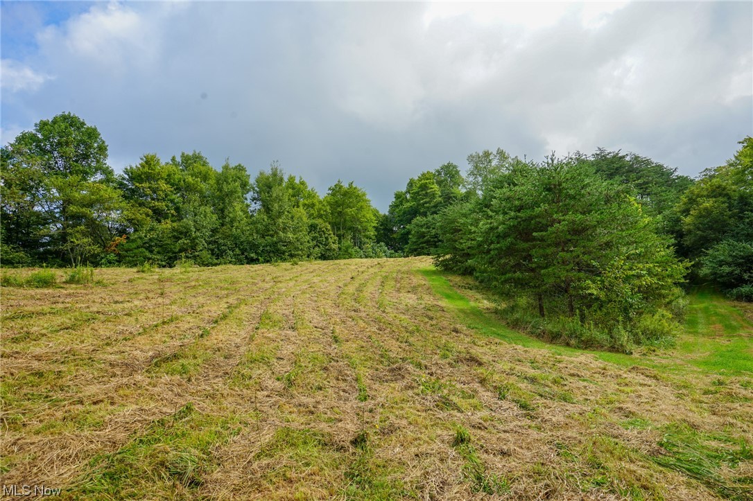 0 Reed Marietta, OH 45750 - Photo 12 of 35 View of yard