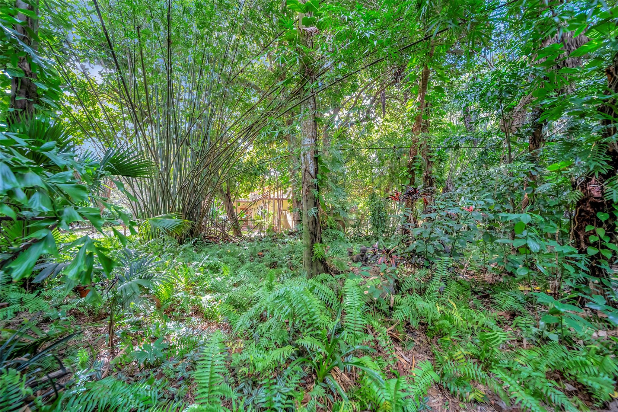 5900 Cypress Road Plantation, FL 33317 - Photo 51 of 72 Photo 51