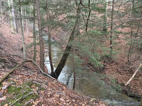 $132,000 | 3811 Schintzius Road, Eden, NY 14057