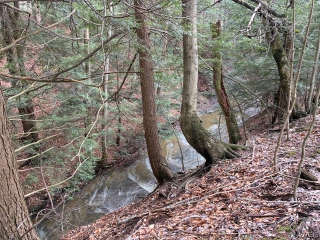 3811 Schintzius Road Eden, NY 14057 - Photo 22 of 38