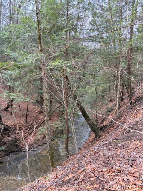 3811 Schintzius Road Eden, NY 14057 - Photo 23 of 38