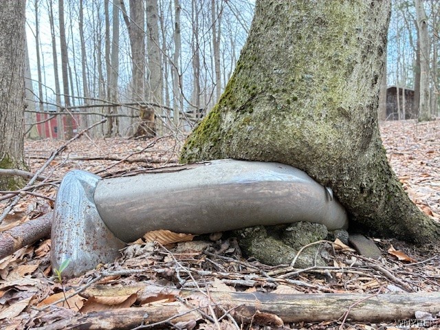 3811 Schintzius Road Eden, NY 14057 - Photo 29 of 38