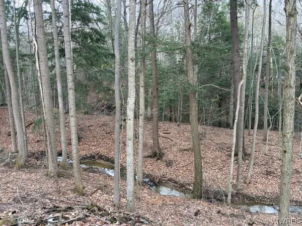 $132,000 | 3811 Schintzius Road, Eden, NY 14057