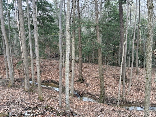 3811 Schintzius Road Eden, NY 14057 - Photo 30 of 38