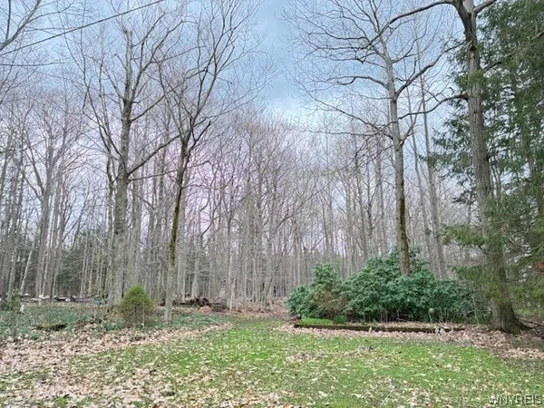 $132,000 | 3811 Schintzius Road, Eden, NY 14057