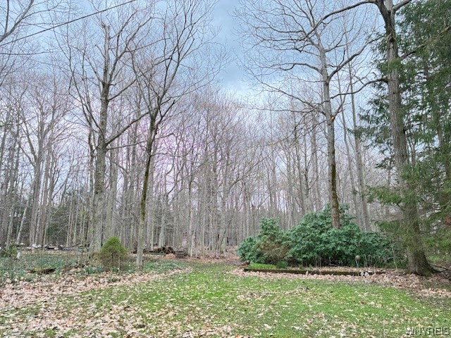 3811 Schintzius Road Eden, NY 14057 - Photo 32 of 38