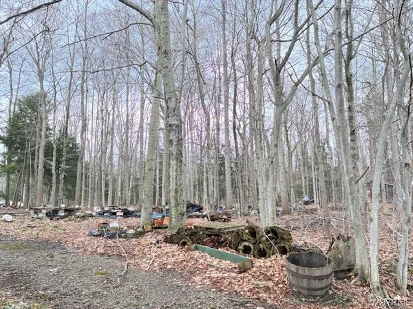 $132,000 | 3811 Schintzius Road, Eden, NY 14057