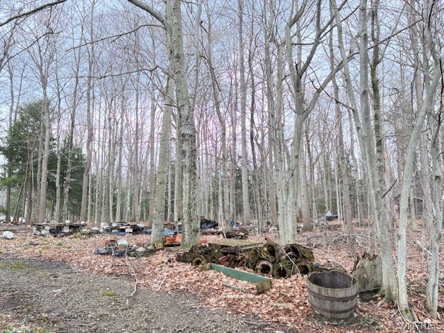 3811 Schintzius Road Eden, NY 14057 - Photo 35 of 38