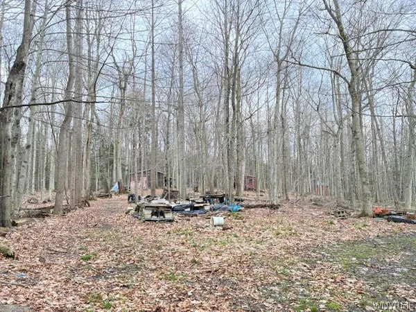 $132,000 | 3811 Schintzius Road, Eden, NY 14057