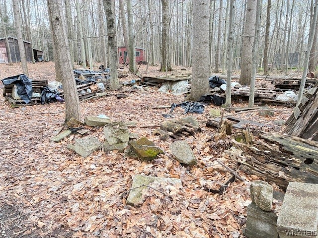 3811 Schintzius Road Eden, NY 14057 - Photo 37 of 38