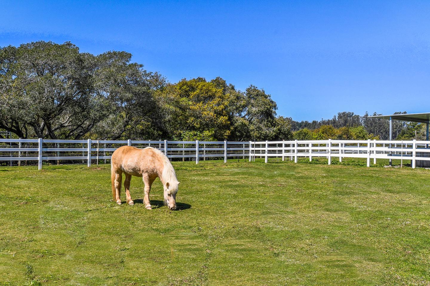 620 Calabasas Road Watsonville, CA 95076 - Photo 4 of 50 Gallery Image 4