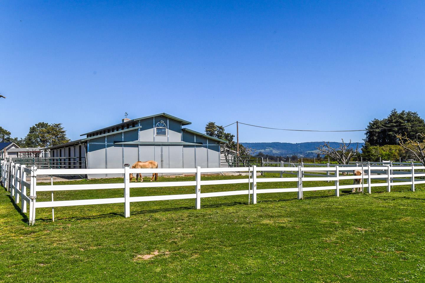620 Calabasas Road Watsonville, CA 95076 - Photo 5 of 50 Gallery Image 5