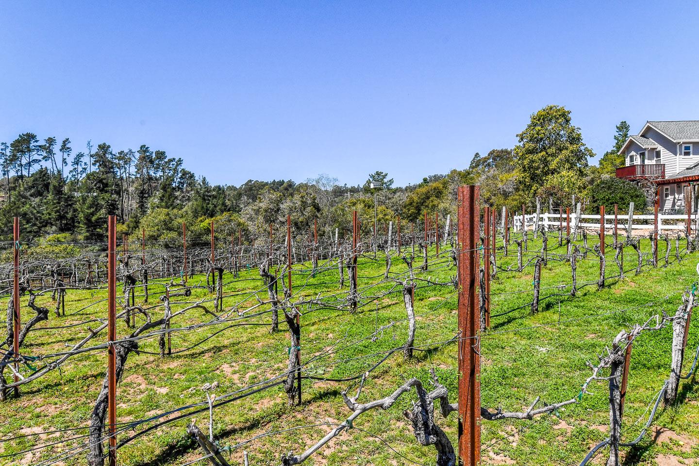 620 Calabasas Road Watsonville, CA 95076 - Photo 6 of 50 Gallery Image 6