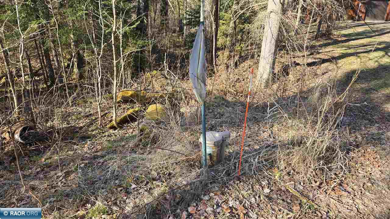 7485 Nelson Road Crane Lake, MN 55725 - Photo 46 of 50