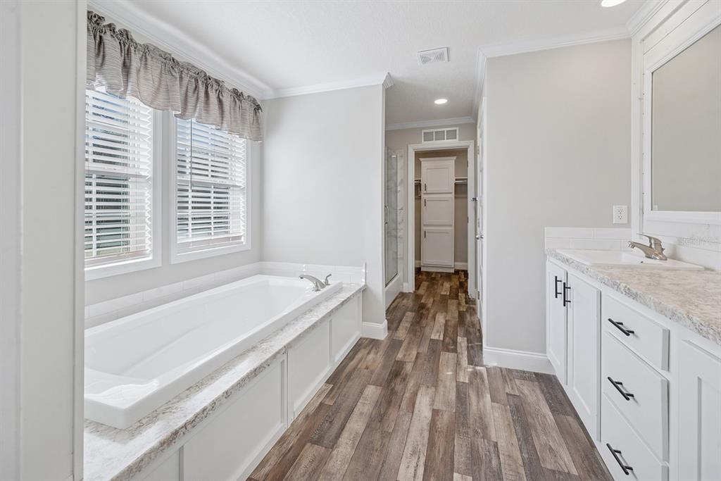 19750 Southeast 30th Street Morriston, FL 32668 - Photo 40 of 52 a spacious bathroom with a granite countertop tub sink and mirror