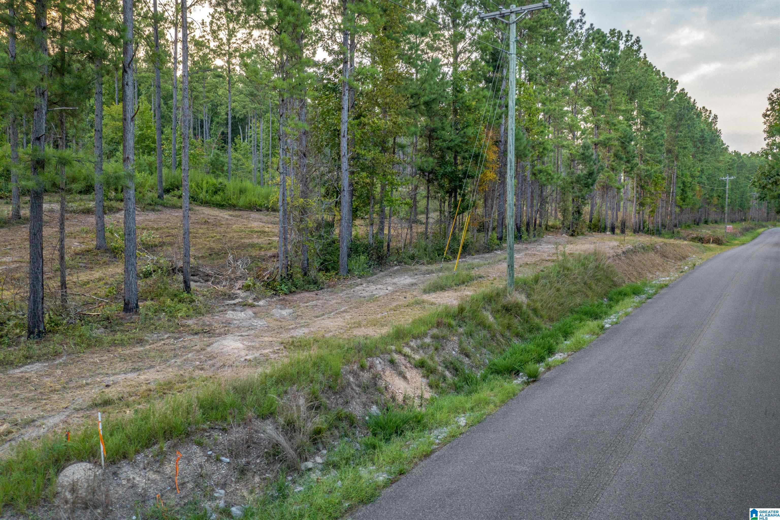 2735 Greensport Road Ohatchee, AL 36271 - Photo 5 of 10