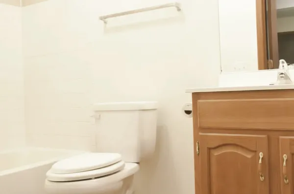 a bathroom with a toilet