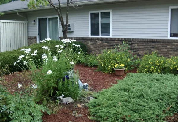 a view of a backyard with plants