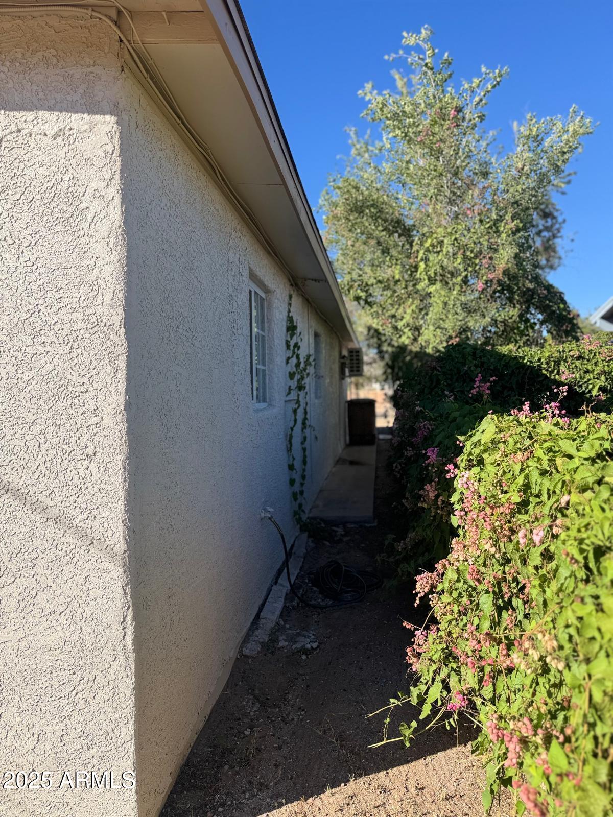 735 East 3rd Street Douglas, AZ 85607 - Photo 16 of 18 a view of back yard of the house