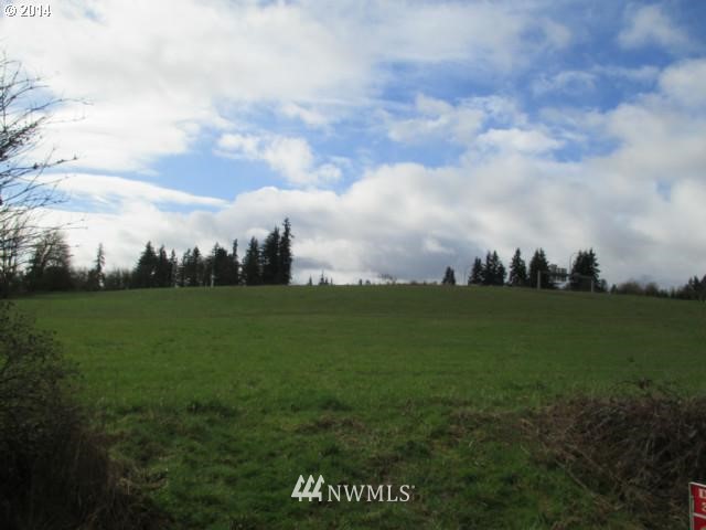 0 Northeast 209th Street Ridgefield, WA 98642 - Photo 2 of 8