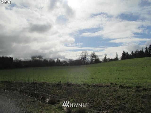 0 Northeast 209th Street Ridgefield, WA 98642 - Photo 4 of 8