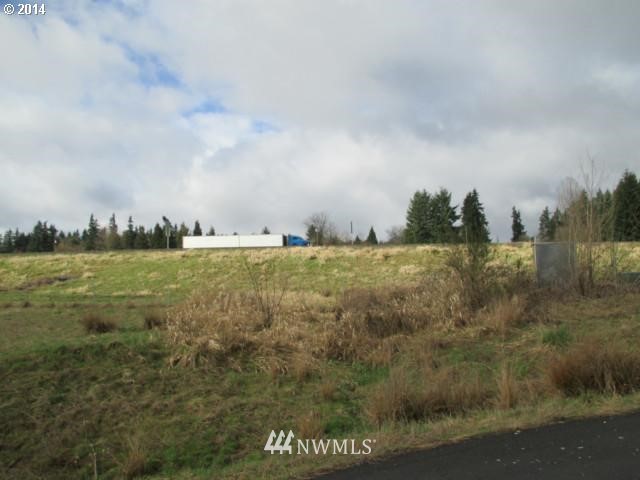 0 Northeast 209th Street Ridgefield, WA 98642 - Photo 5 of 8