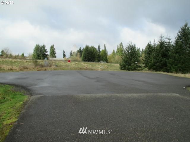 0 Northeast 209th Street Ridgefield, WA 98642 - Photo 6 of 8