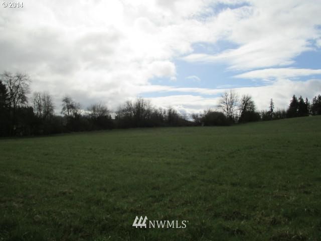0 Northeast 209th Street Ridgefield, WA 98642 - Photo 8 of 8
