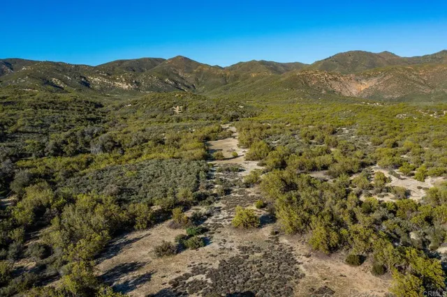 a view of a mountain with a lush green forest