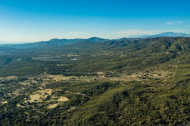 a view of a lush green forest with mountains in the background