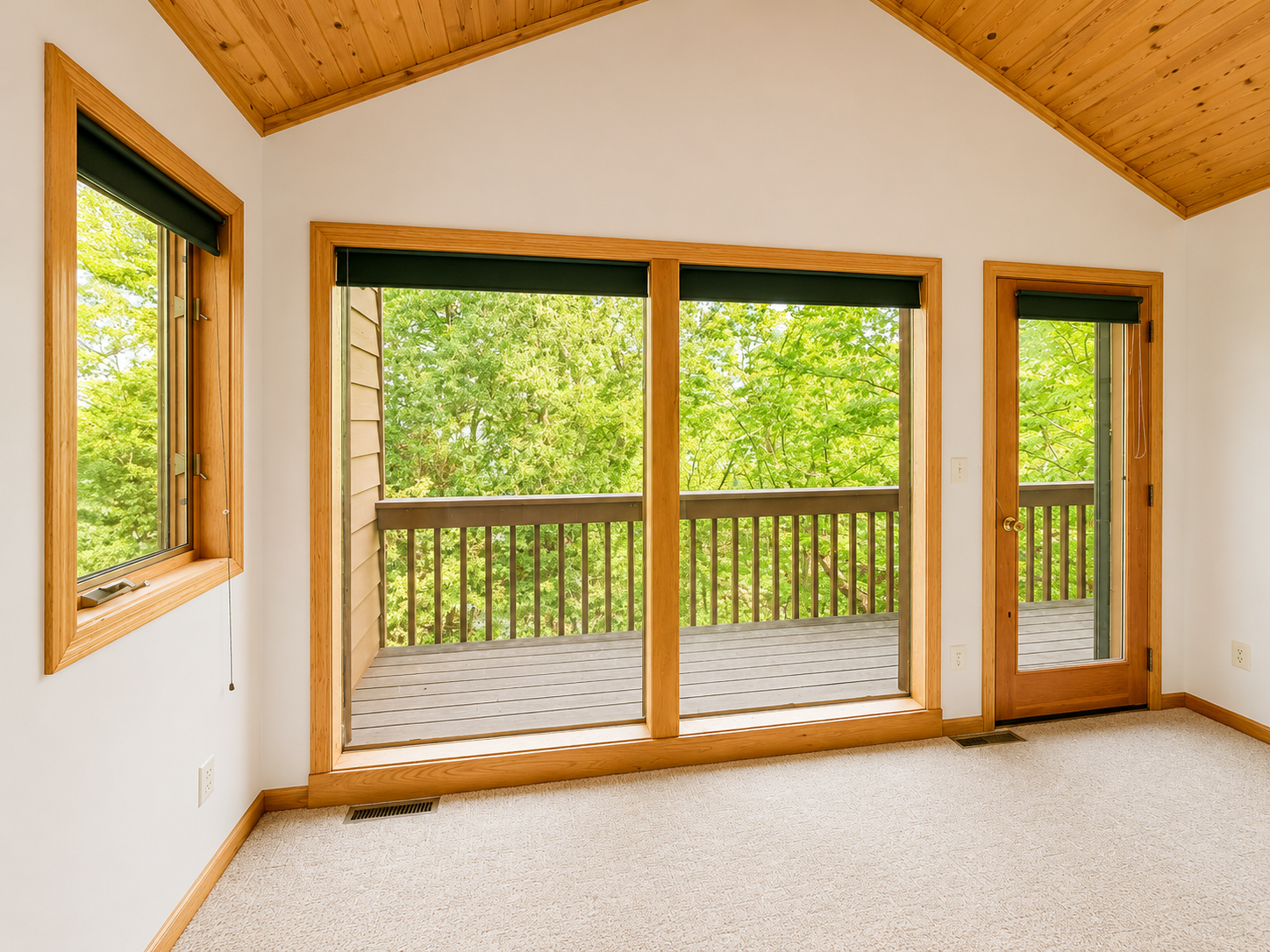 50573 Evergreen Point Road Bigfork, MN 56628 - Photo 8 of 8