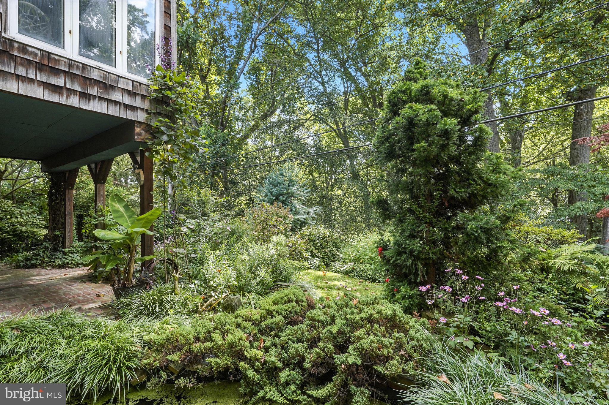 8420 Chippewa Road Philadelphia, PA 19128 - Photo 26 of 30 a view of outdoor space and yard